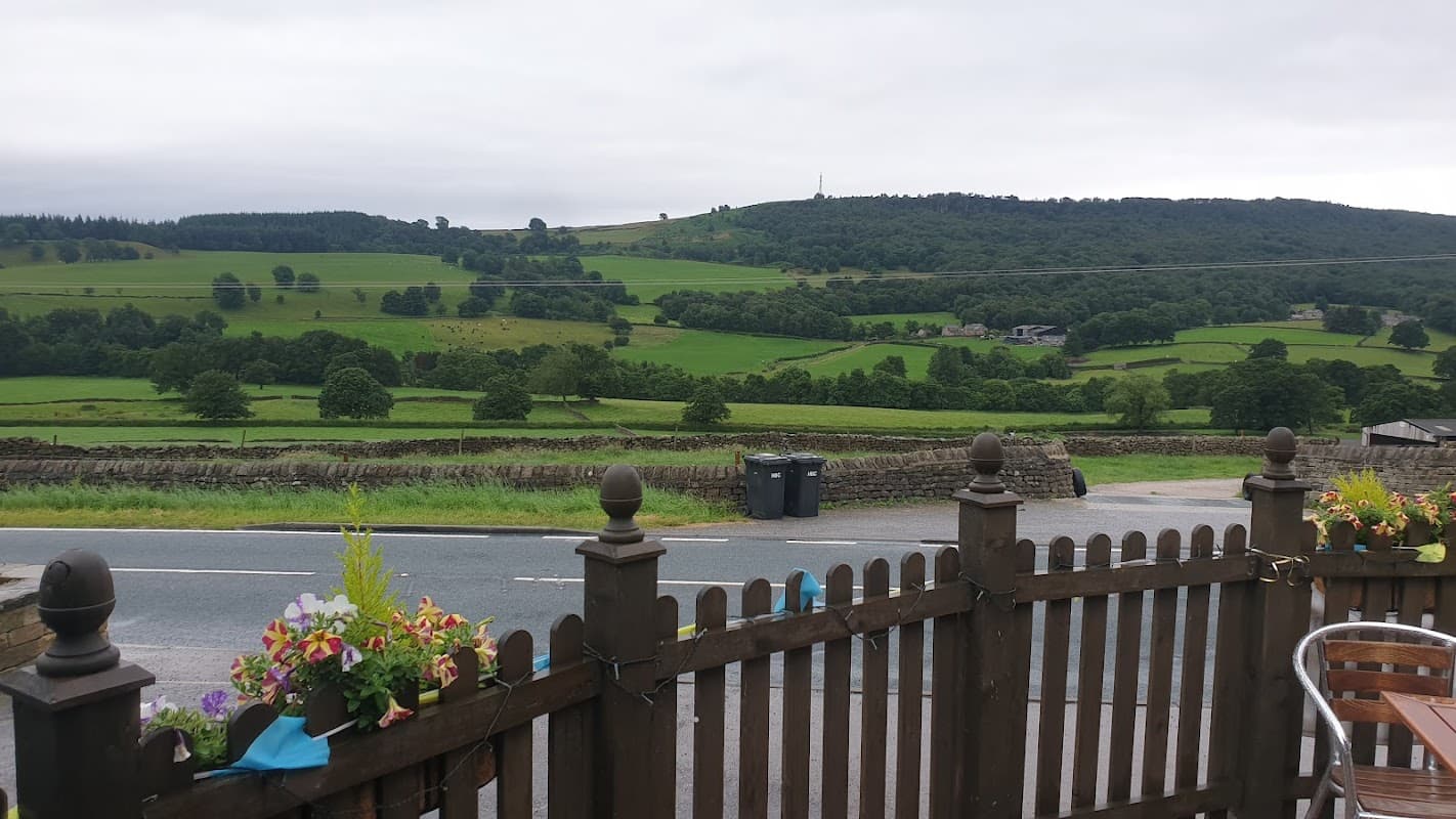 Scenic view from Birch Tree Holiday Cottages, featuring lush green hills, trees, and a quiet road.