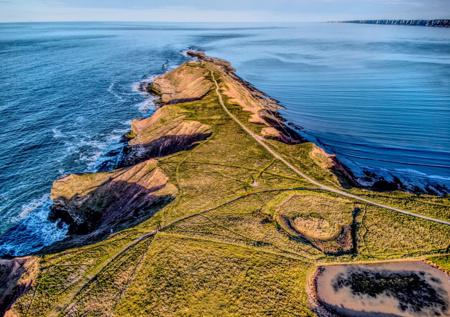 Walk: Filey Brigg Country Park