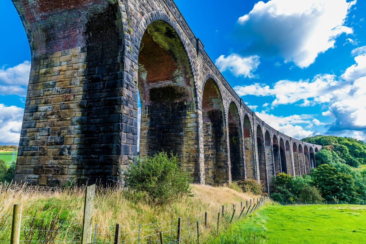 Newsletter - Saturday 7th October 2023