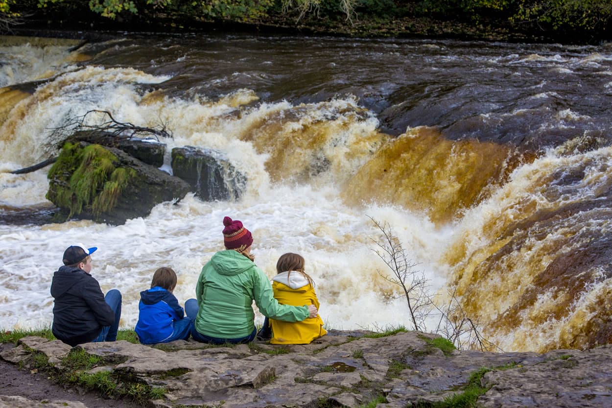Walk: Aysgarth Falls - a miles without stiles walk