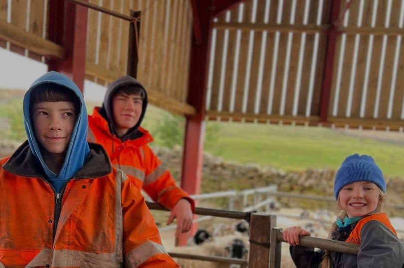 our Yorkshire farm