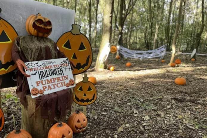 What Are The Best October Half Term Activities For Families At North Yorkshire Water Park
