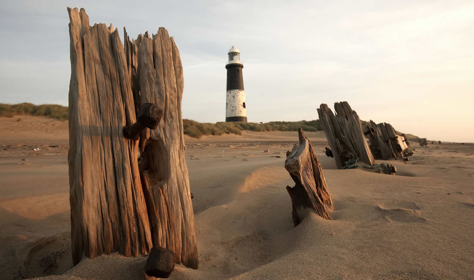 YWT Spurn - Natural Features in easington east yorkshire