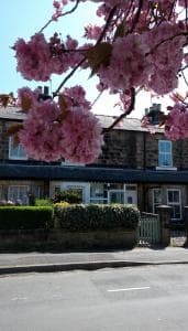 Accommodation at Harrogate 100 in harrogate