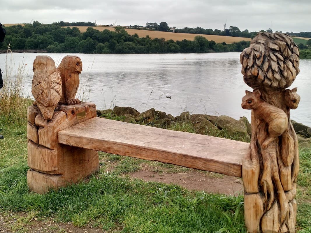 Carved wooden bench featuring owls and a squirrel, overlooking a reservoir with grassy banks and distant hills.