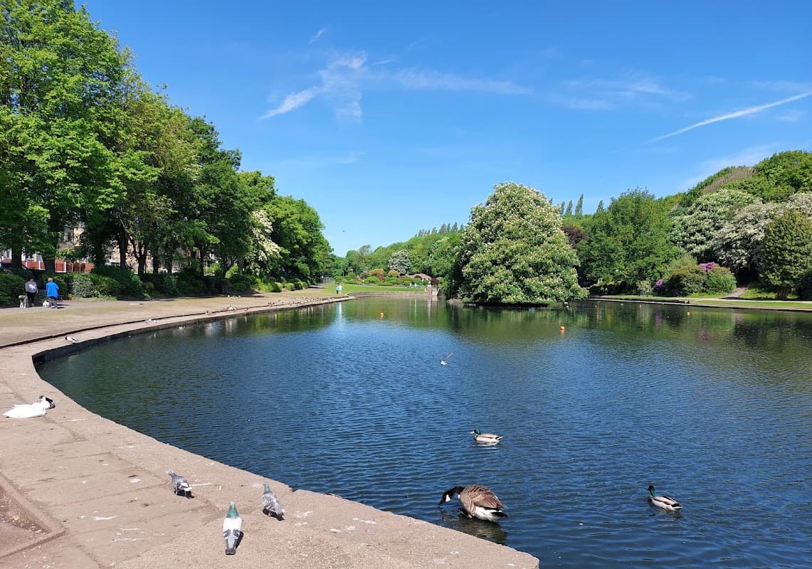 Serene park scene with a calm lake, lush greenery, and ducks along the shore under a clear blue sky.