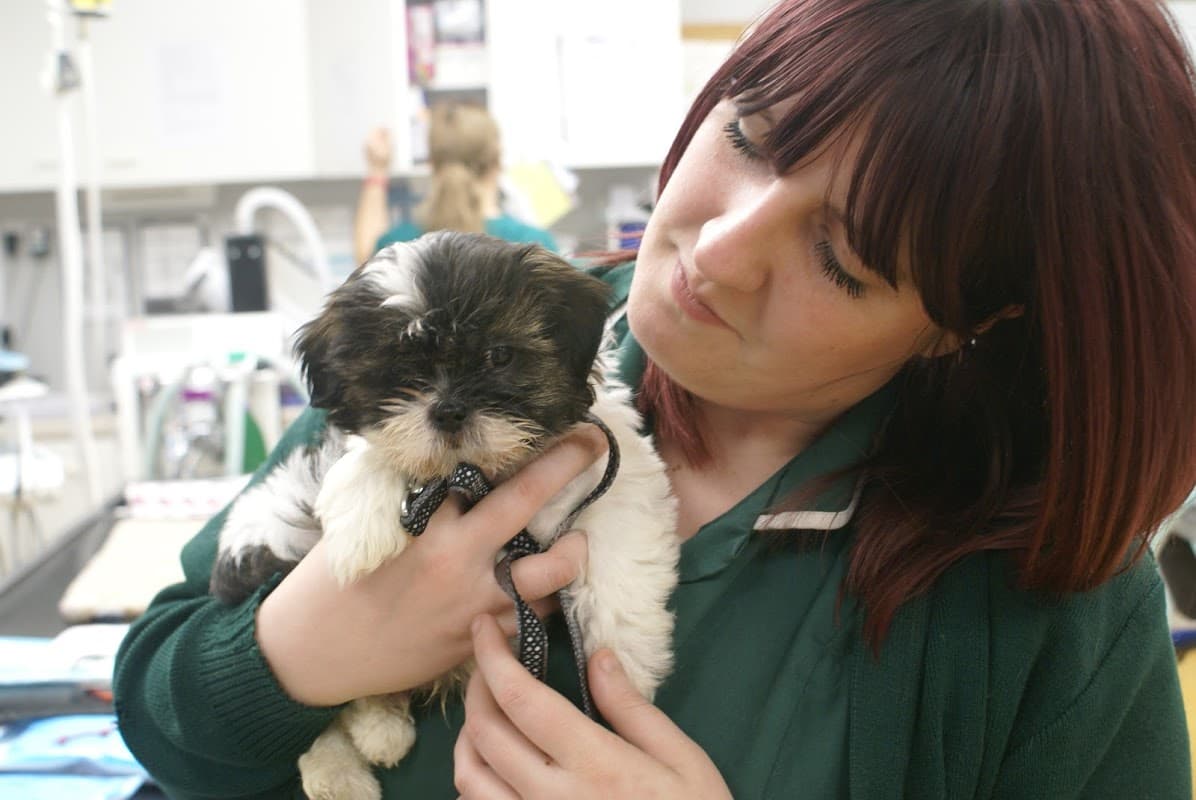 Norwood Veterinary Group - Vets in beverley