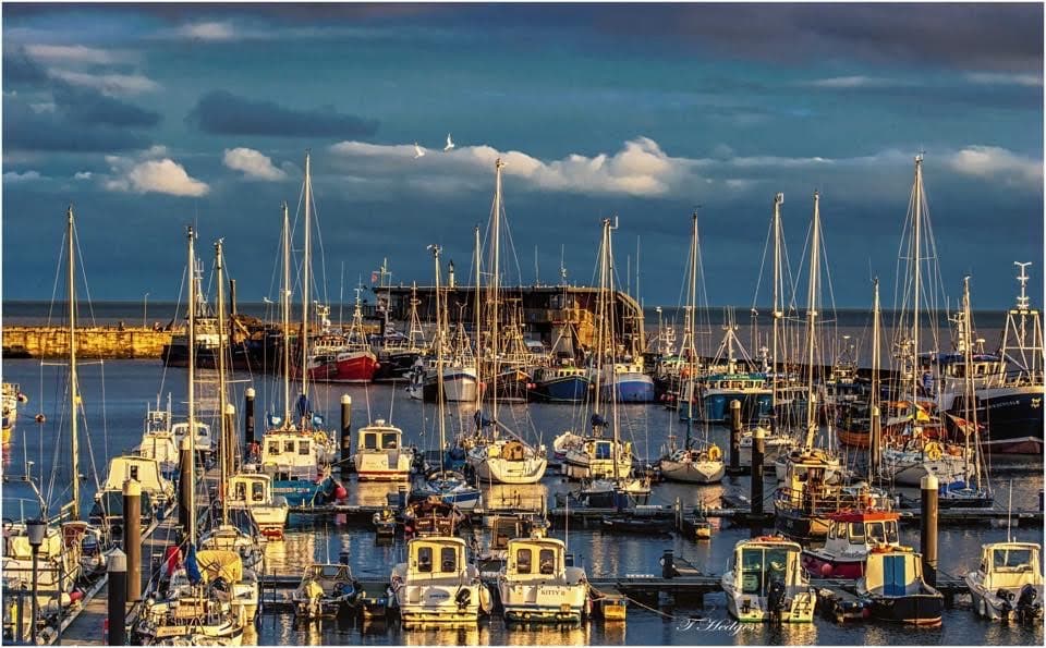 Bridlington Harbour - Marinas in bridlington