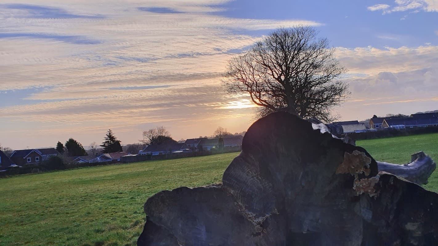 Field Lane Recreation Ground - Park in brighouse