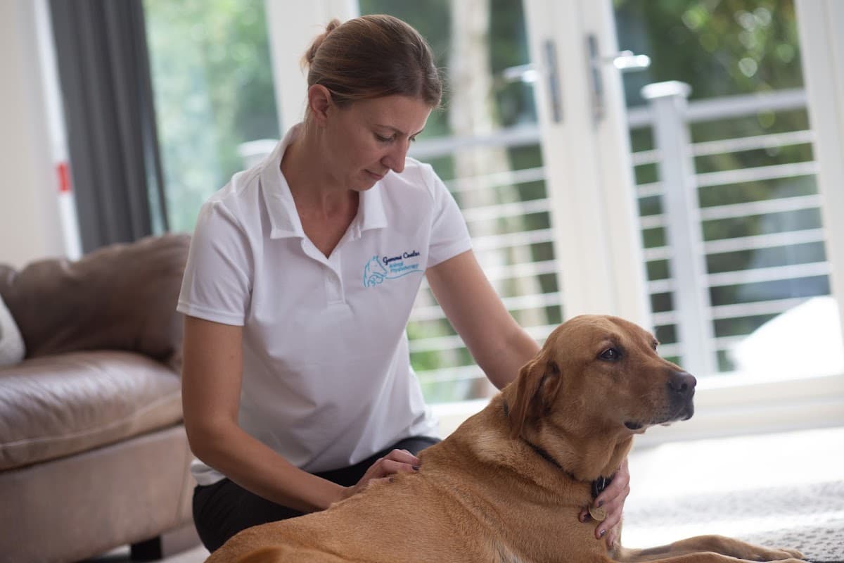 G Coates Animal Physiotherapy - Sports Injury Clinics in brough