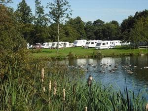 Carlton Miniott Park - Campsite in carlton miniott