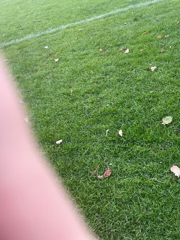 Hartley's Field - Park in castleford