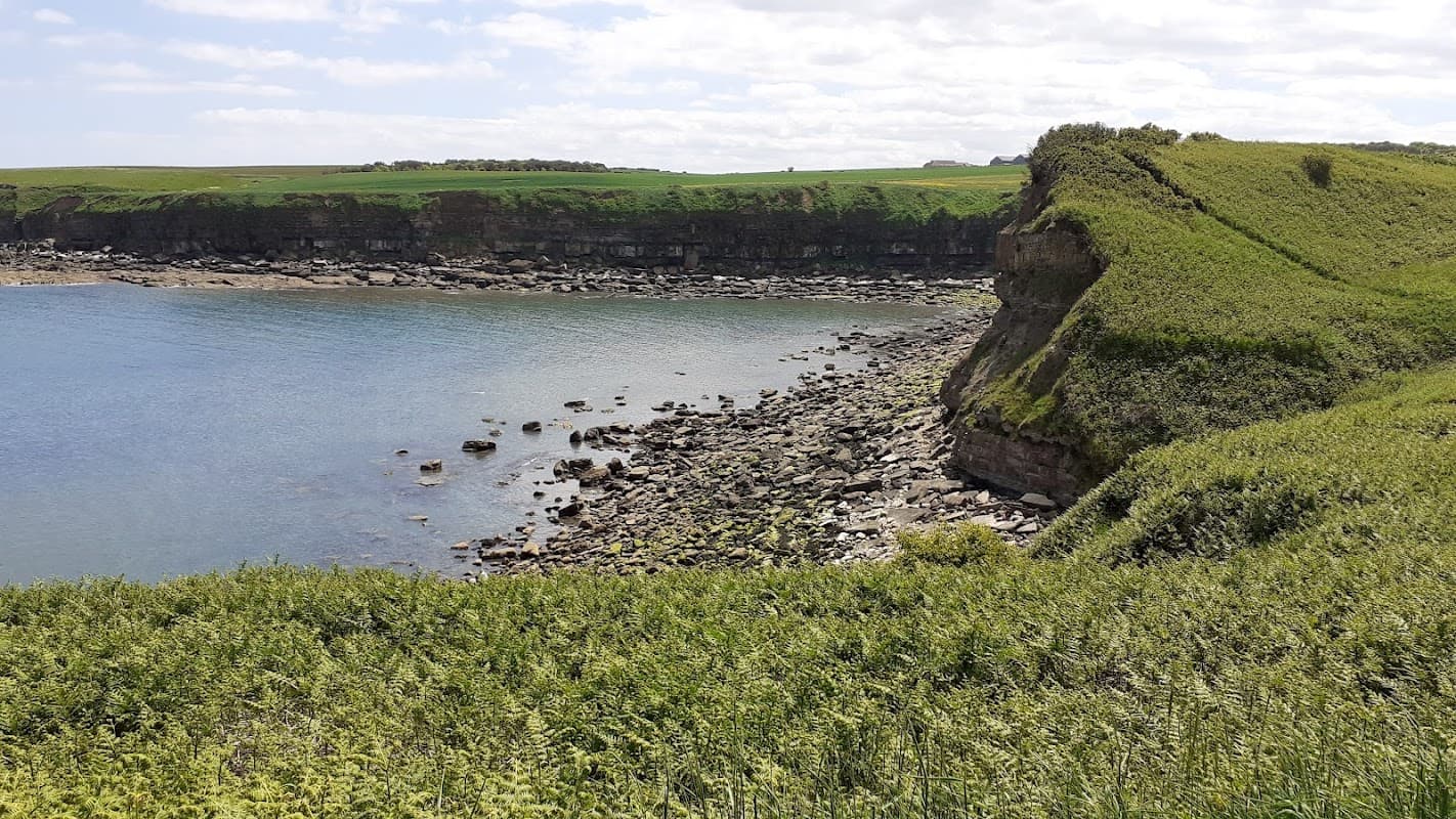 Coastal view of Cloughton Wyke with rocky shoreline, green cliffs, and a clear blue sky.