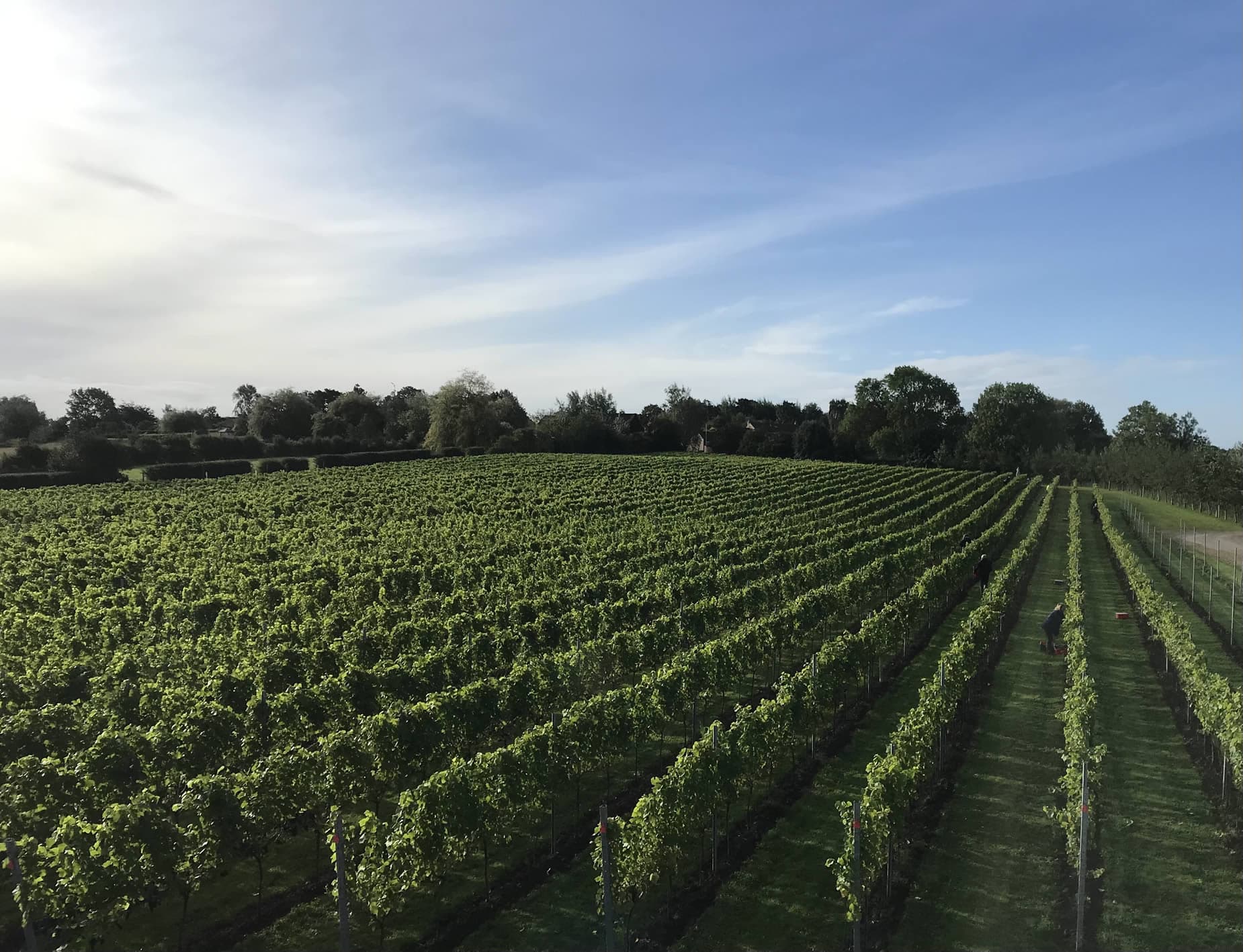 Dining at Dunesforde Vineyard in upper dunsforth