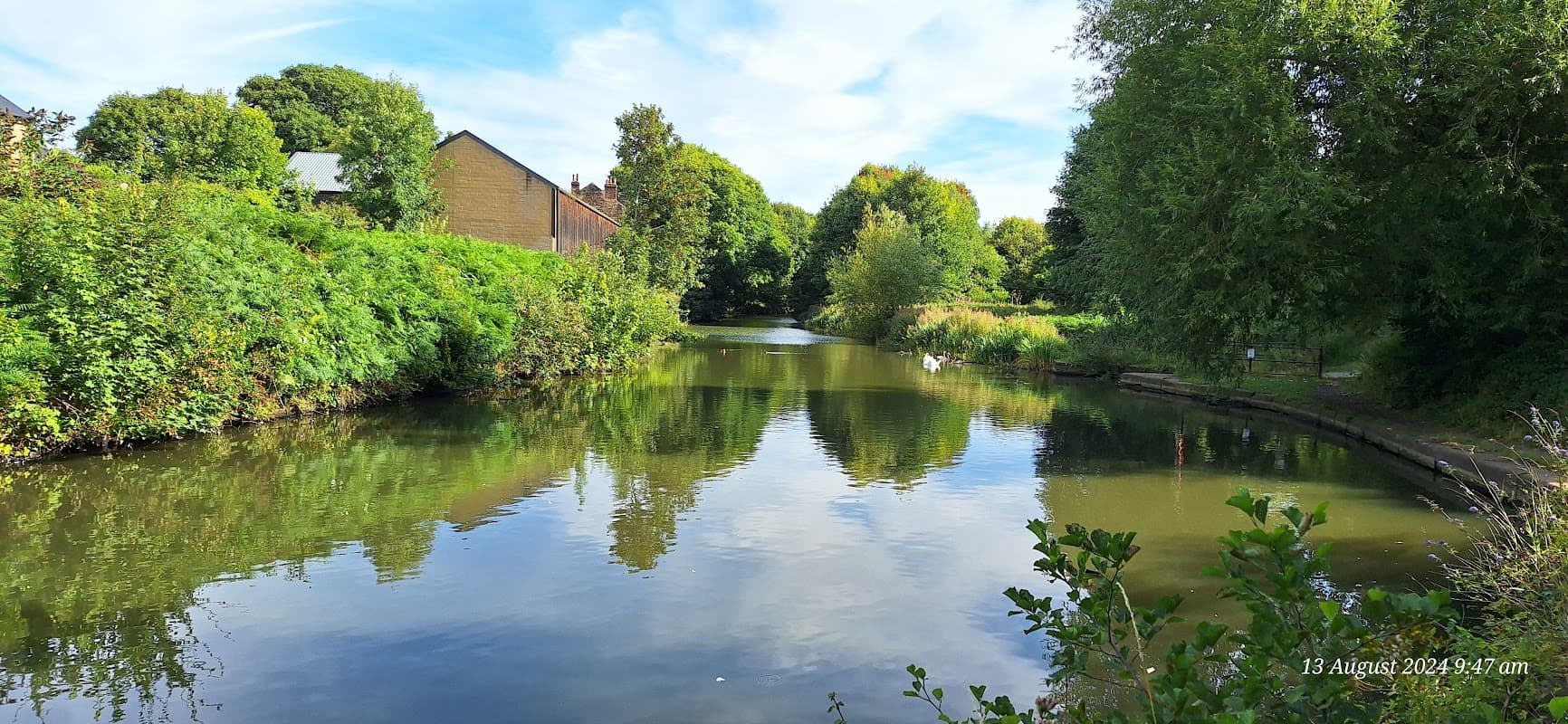 Serene canal scene with lush greenery, reflections on water, and a clear sky in Elsecar, Yorkshire.
