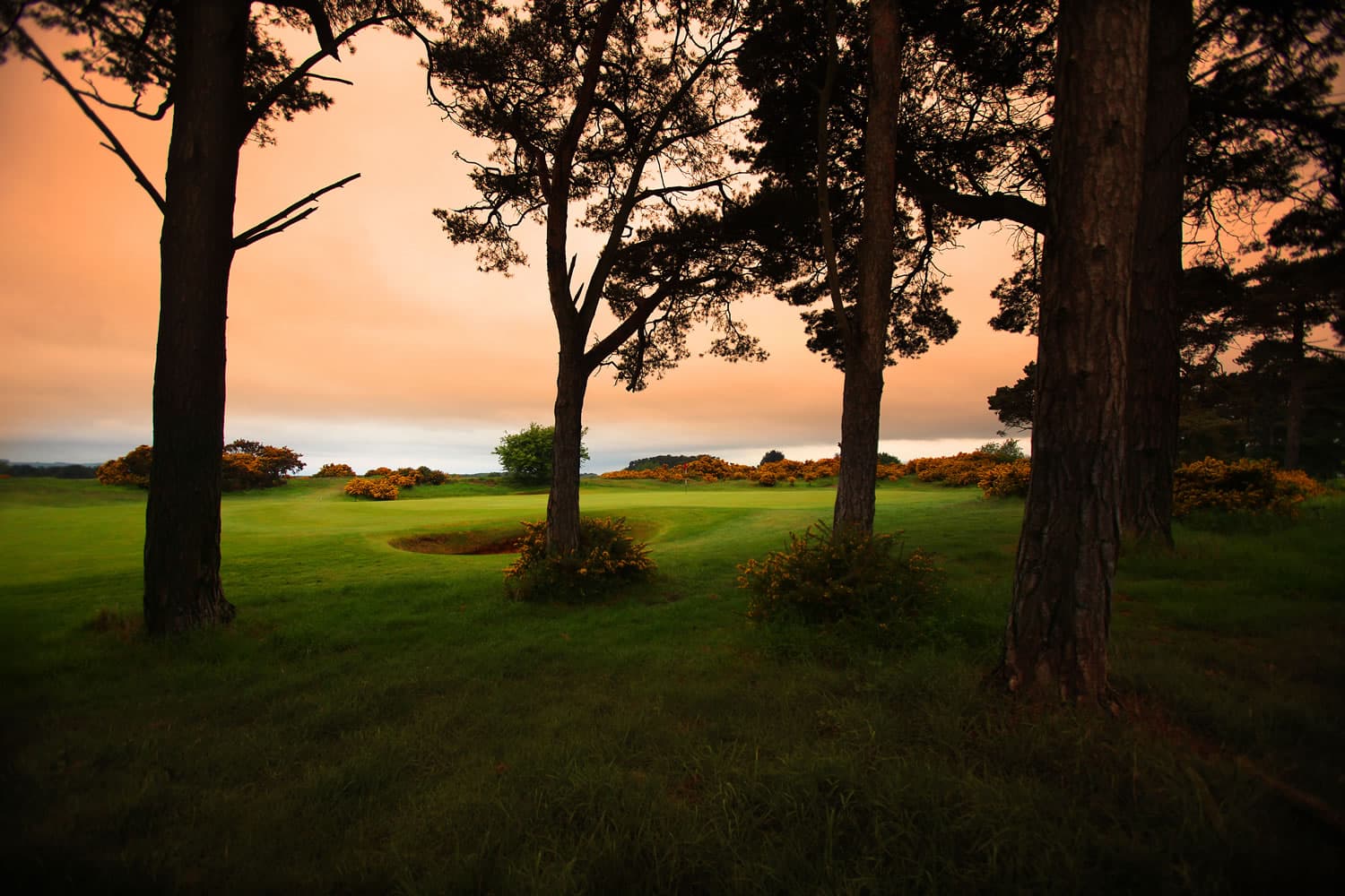 Ganton Golf Club - Golf Course in potter brompton