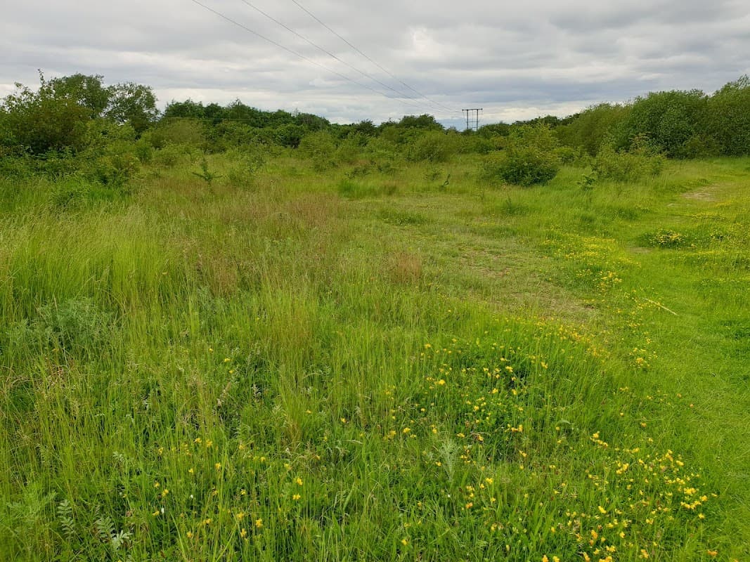 Hawk's Nest Wood LWS - Park in garforth