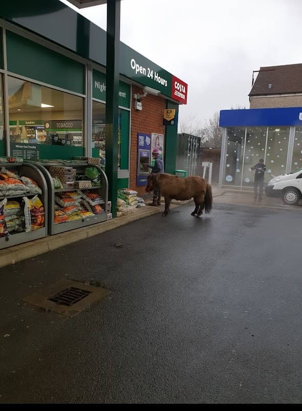 Morrisons Daily- Meadowhead - Supermarkets in greenhill