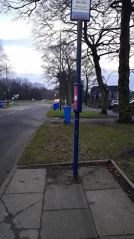 Bus stop sign near Norton Lane, with a blue phone box and recycling bins along a tree-lined road in Greenhill.