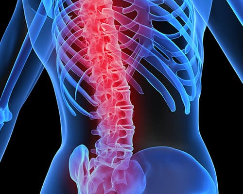 The Physio Clinic - Sports Injury Clinics in greenhill