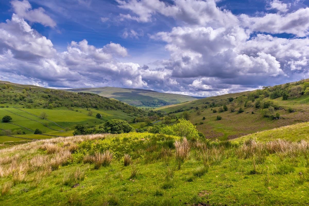 Jackson-Stops Yorkshire - Estate Agents in harrogate