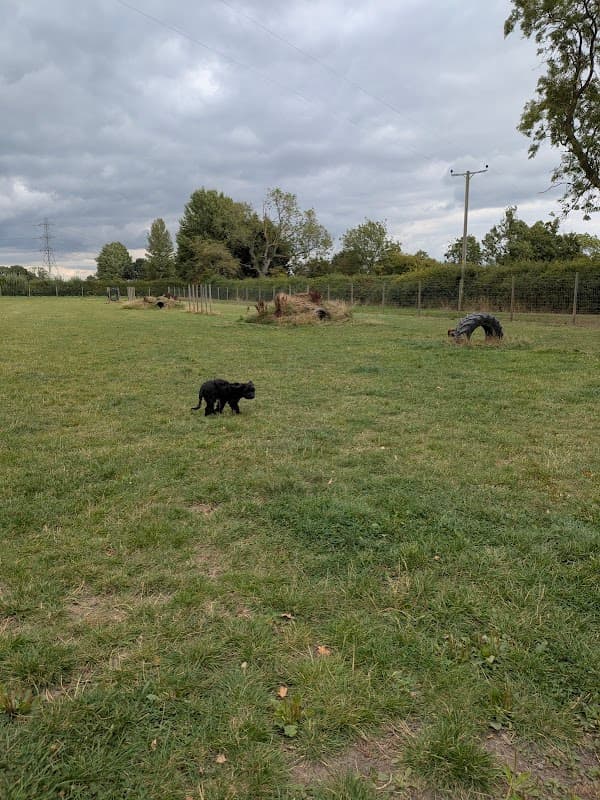 Narrow Lane Canine Play - Park in haxby