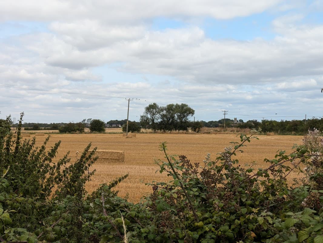 Free parking area near a vast golden field, with scattered trees and cloudy skies in Hedon, Yorkshire.