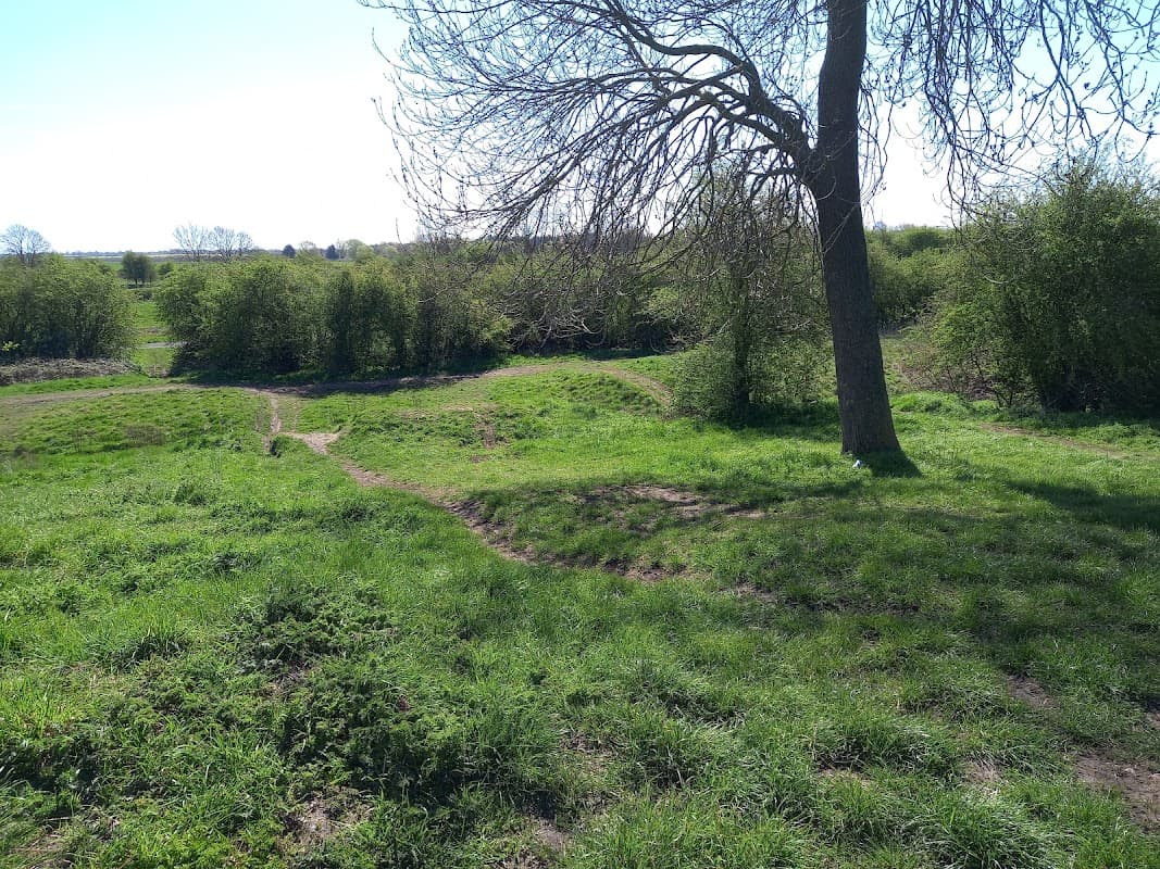 Castle Hill - Historic Site in hull