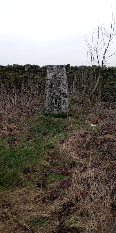 Ling Park Trig point - Historic Site in ilkley