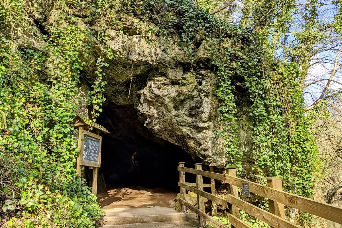 Entrance to Mother Shipton's Cave surrounded by lush greenery