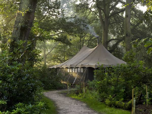 Jollydays Glamping - Campsite in upper helmsley