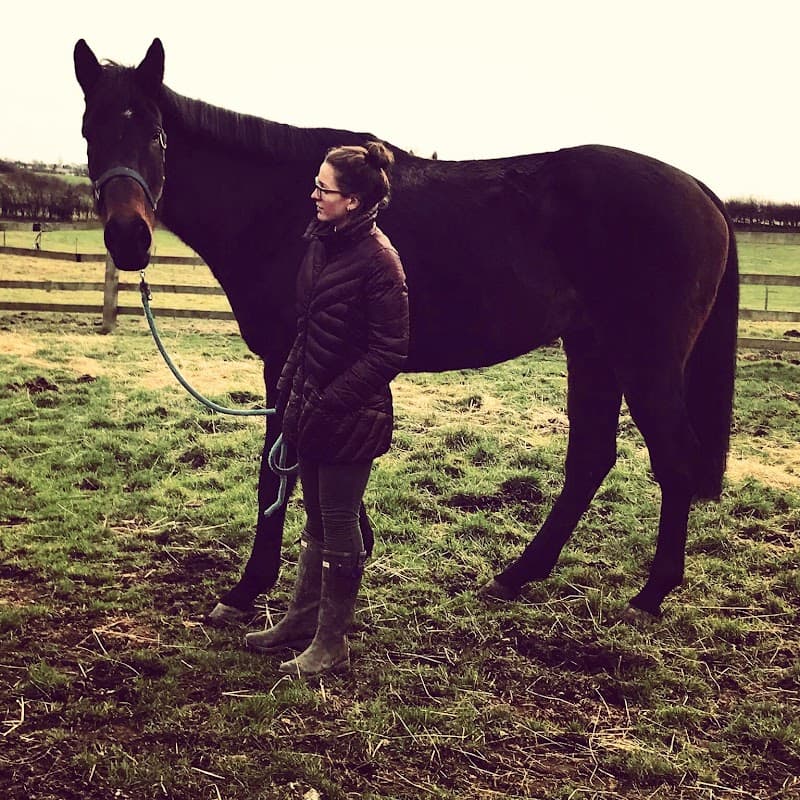 Stacie's equine services - Travel Agents in kirkbridge