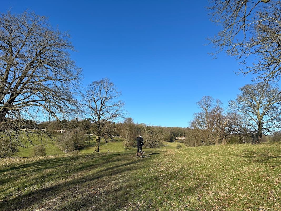 A person walks along a grassy path lined with trees under a clear blue sky at Londesborough Hall.