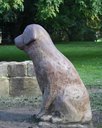 Lucky Dog of Todmorden - Garden in todmorden