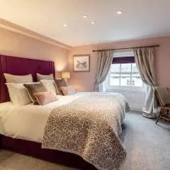 Absoluxe Suites — photo 3