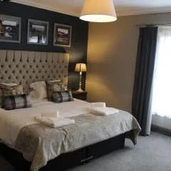 Absoluxe Suites — photo 5