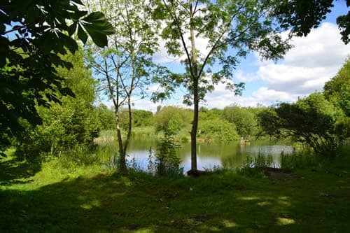 Accommodation at Otterington Park in south otterington