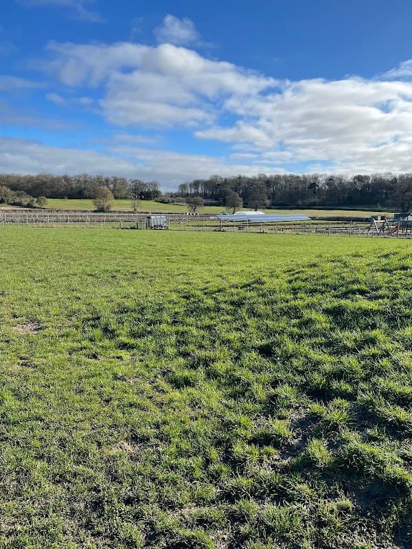 Cedarbarn Dog Field - Park in pickering