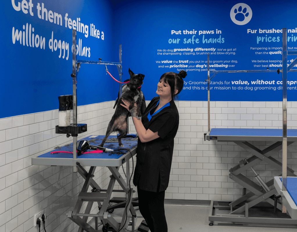 The Jolly Groomer - Rotherham - Pet Shops in rotherham