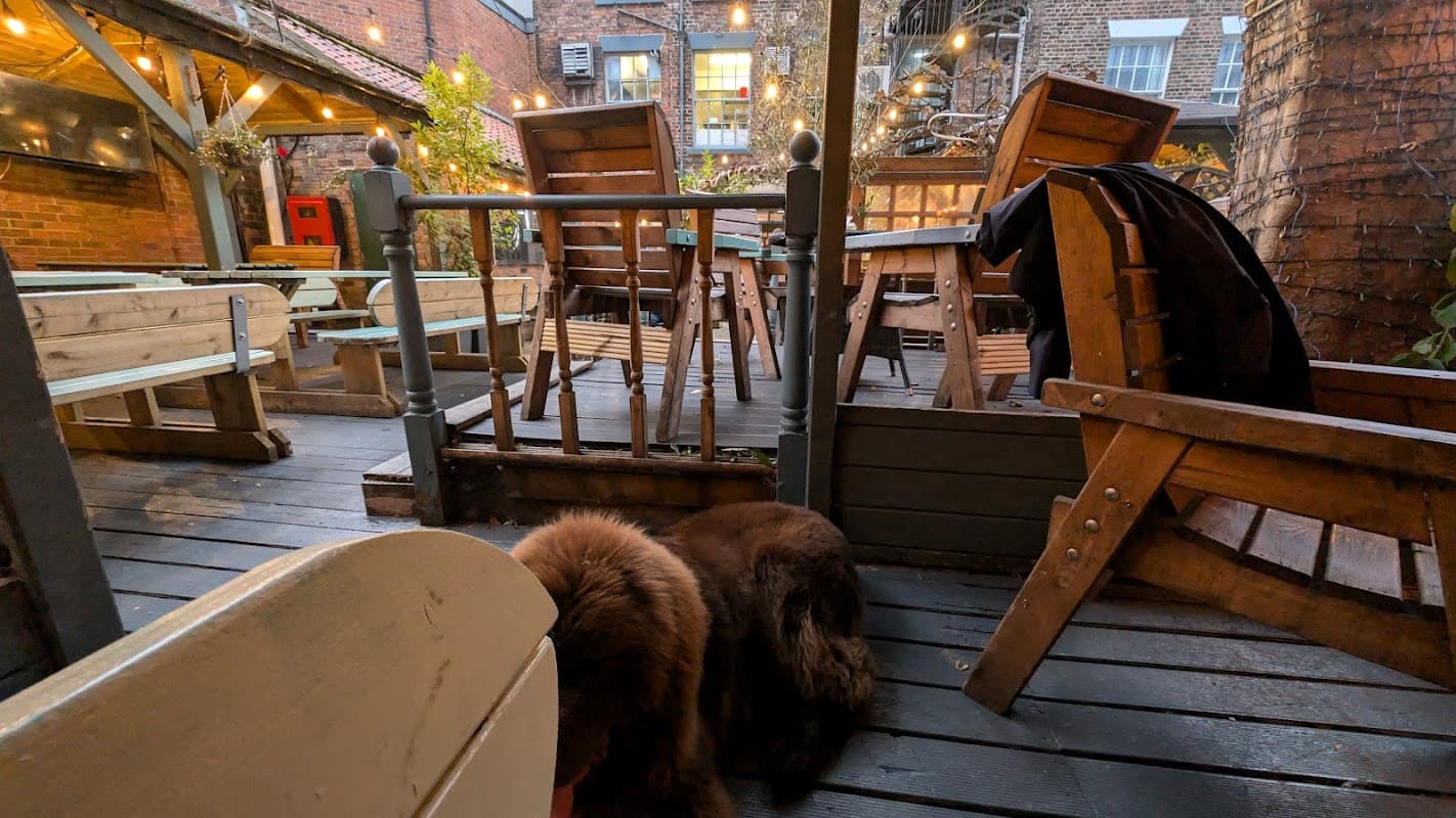 Food & drink at The Courtyard in scarborough