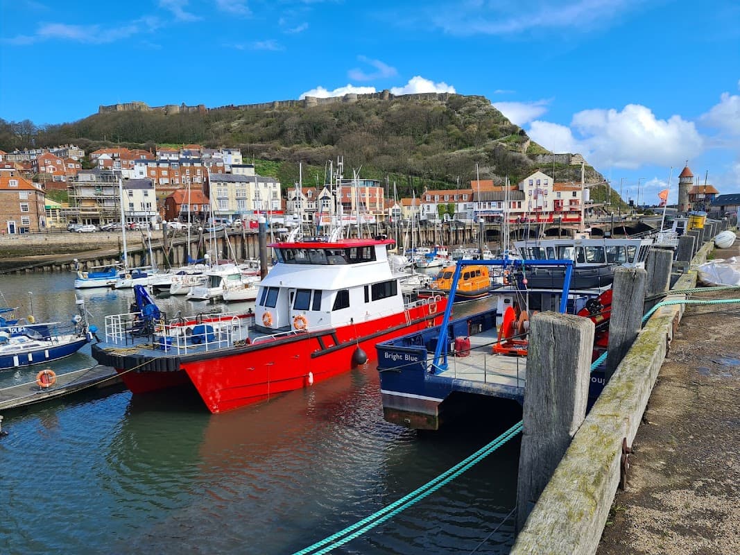 Colorful boats docked at Scarborough's West Pier, with coastal buildings and a green hillside in the background.