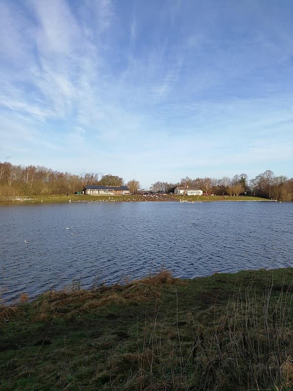 Thrybergh Reservoir - Natural Features in thrybergh