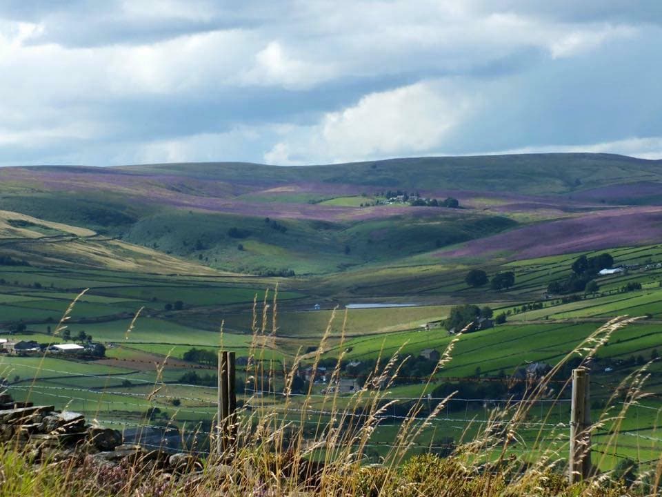 Windle House Farm - Attraction in oxenhope