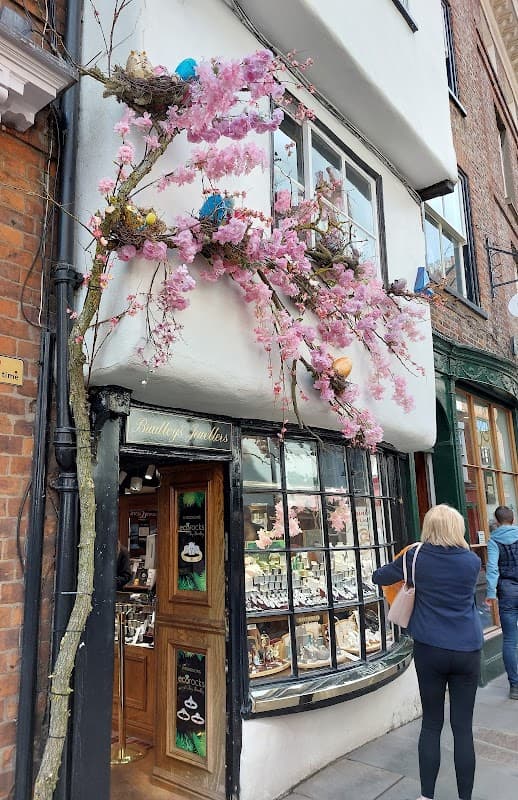 Jewellery shop with a wooden display, adorned with pink cherry blossoms and colorful birds, in York, Yorkshire.