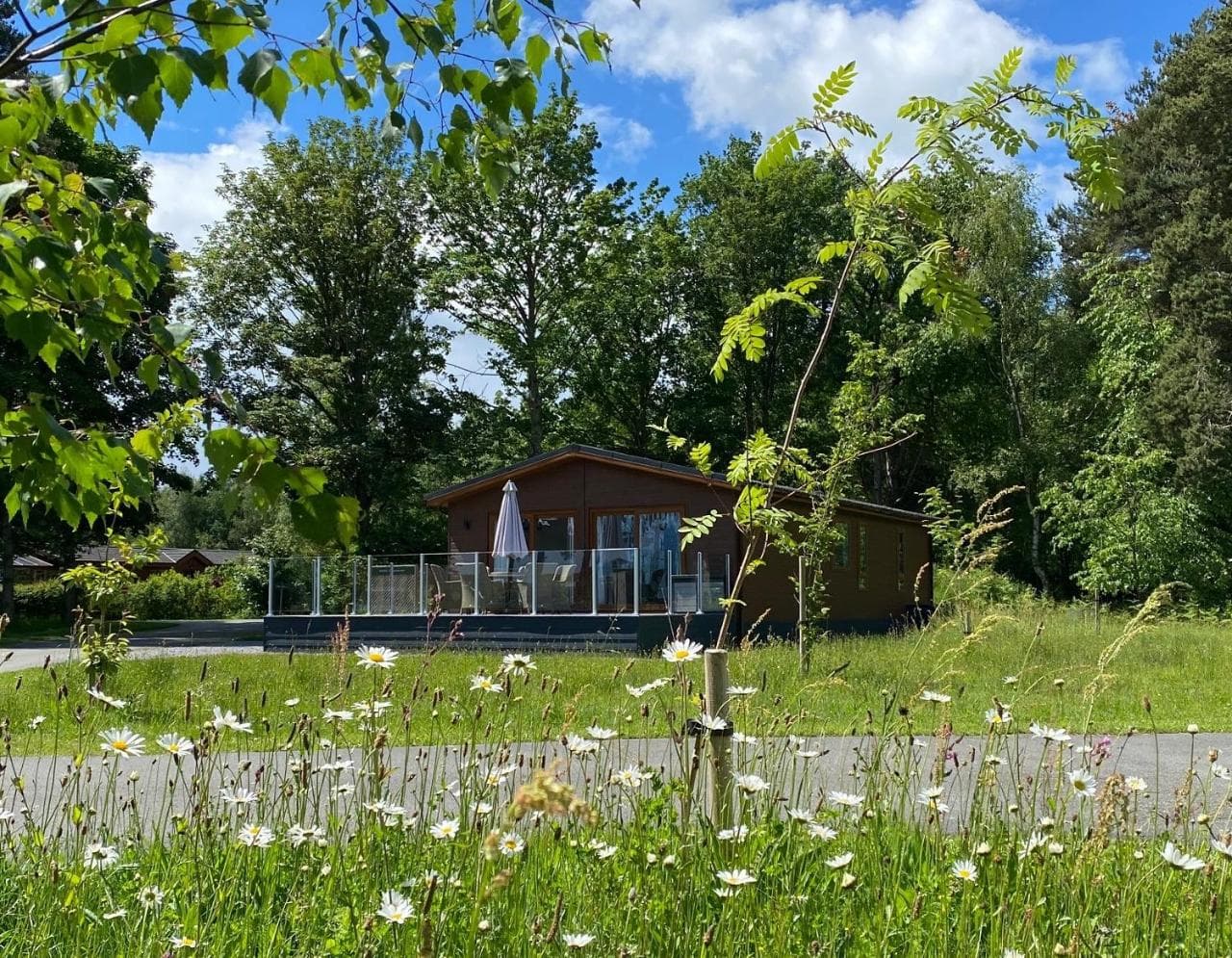 Hollicarrs - Honeycomb Lodge, York, Yorkshire