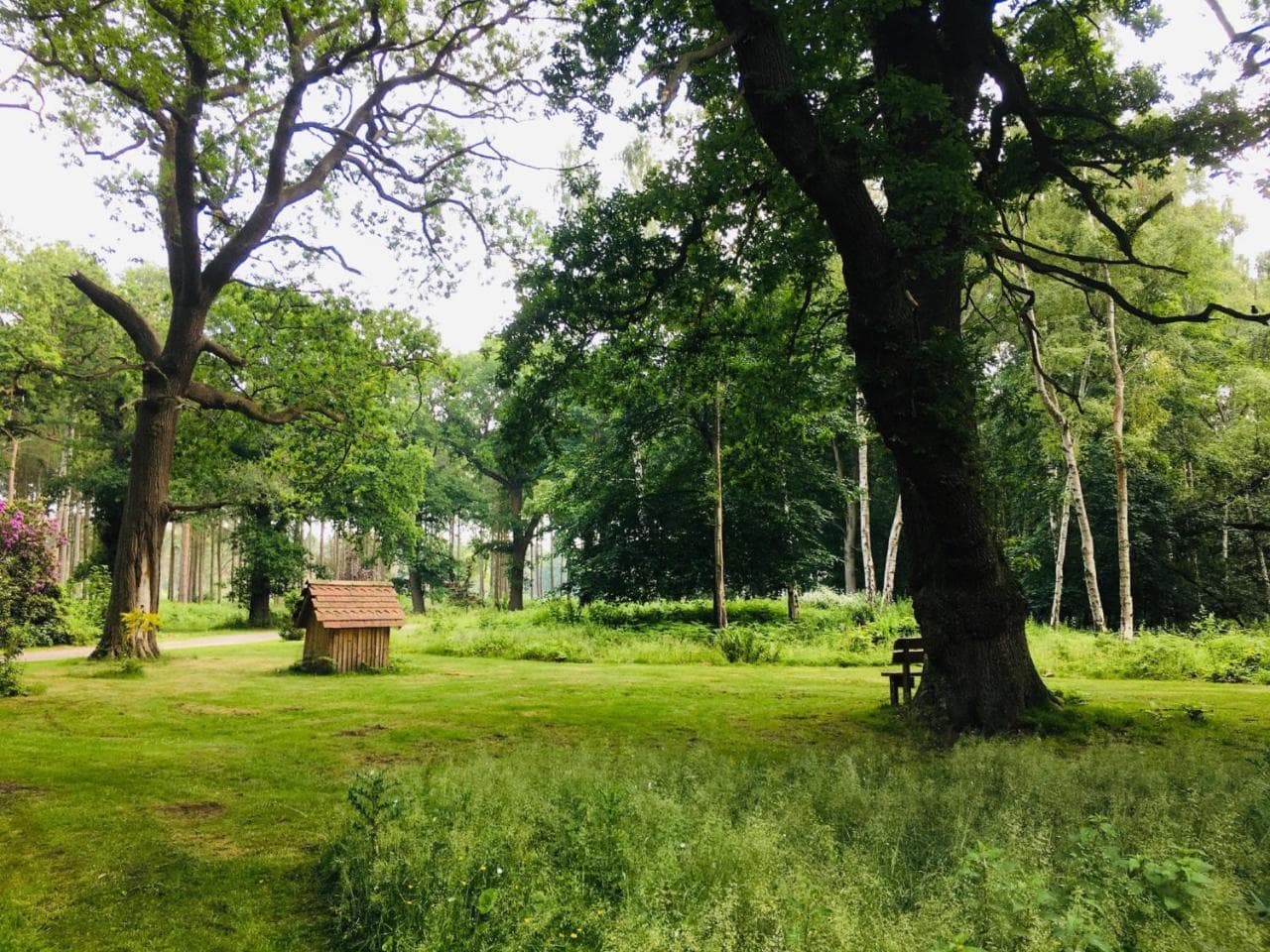 Hollicarrs - Sunflower Lodge — photo 4