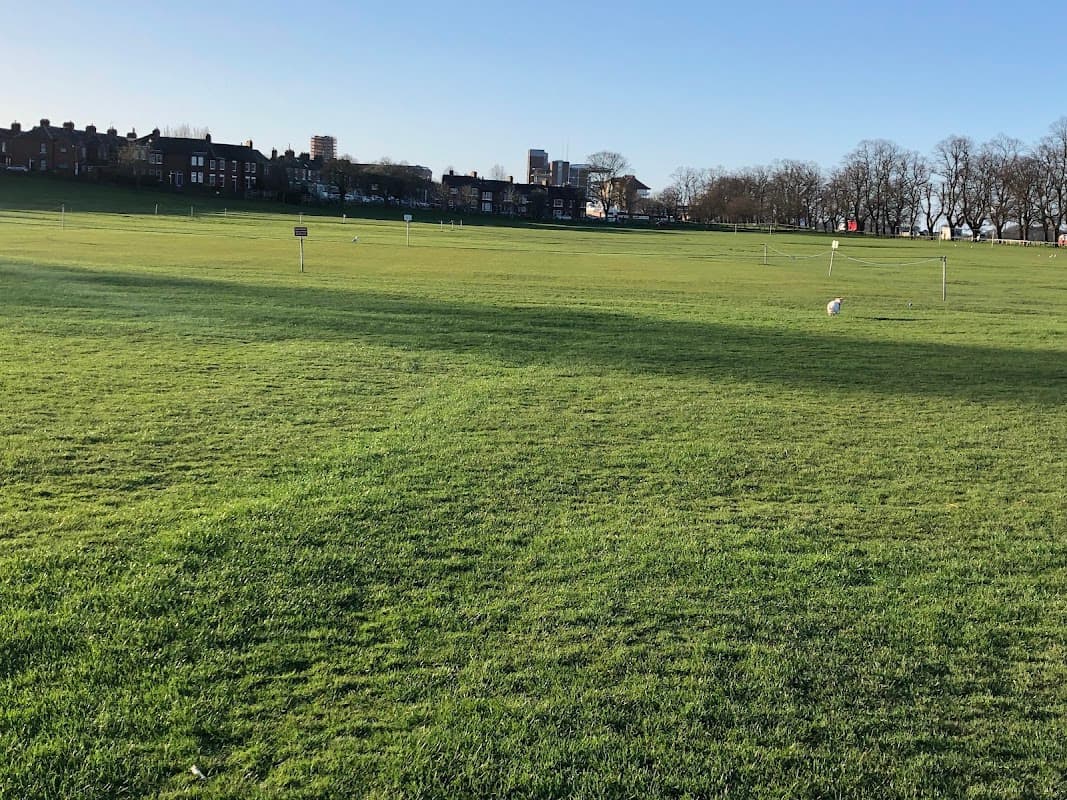 Little Knavesmire - Park in york