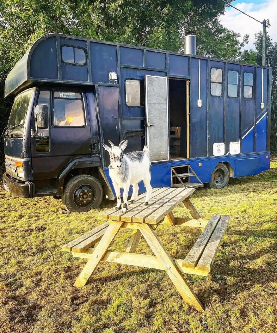 North Yorkshire Horse Box — photo 5