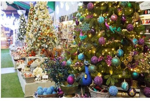 Ackworth Garden Centre Image 3