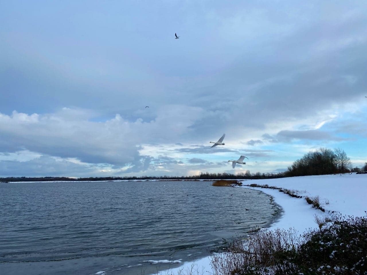 Visit Anglers Country Park - Visitor Information Image 3